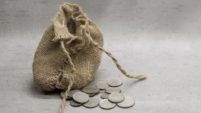 Bag of Coins